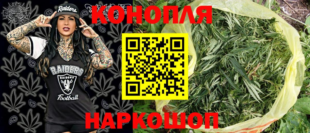 Конопля марихуана Тутаев